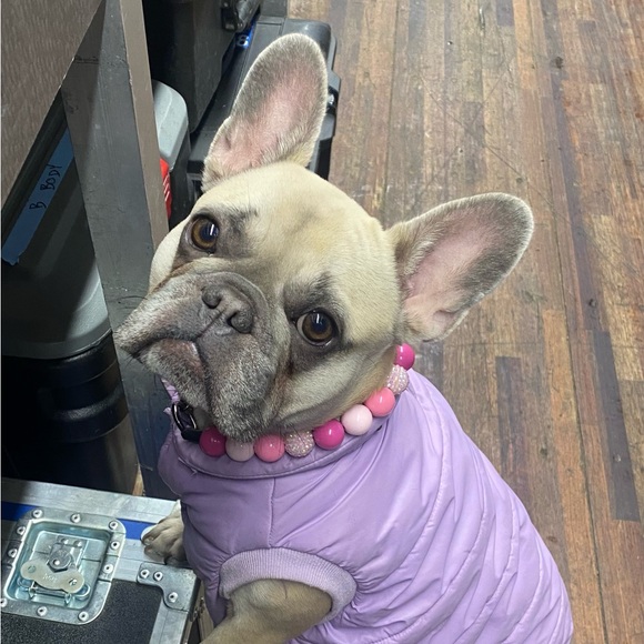 Handcrafted Beaded Dog Collar - Penelope - Beaded Acrylic Beads - Picture 8 of 16